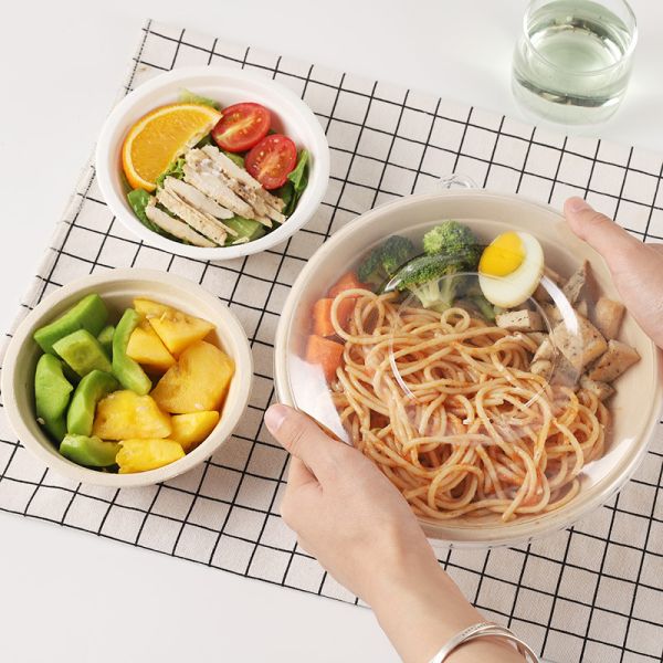 Disposable Sugarcane Pulp Bowl Barbecue Household Picnic 17oz Disposable Bowl