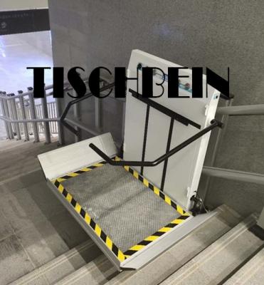 Safe Landing Residential Wheelchair Inclined Platform Lift Shopping Mall Low Noise Easy to Operate