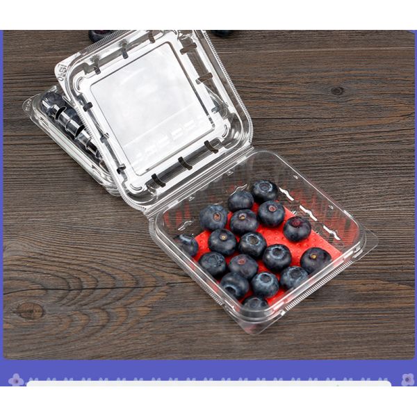 Blueberry box Disposable bowl designed for supermarket/fruit store packaging with transparent PET material