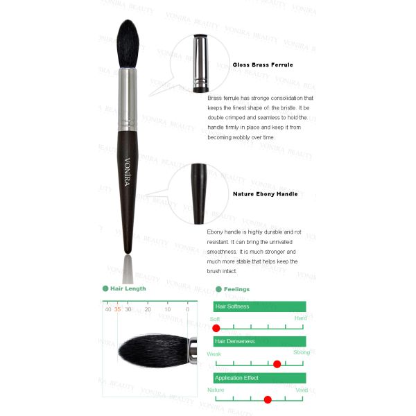 A natureza do artista da profissão cora escovas luxuosas da composição com a cerda aguçado macia da nuvem