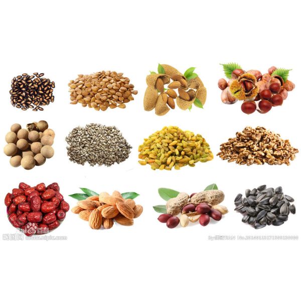 6ИИ-130 закручивают в спираль машина 60 прессы масла камелии промышленная - скорость Скеезер 100РПМ