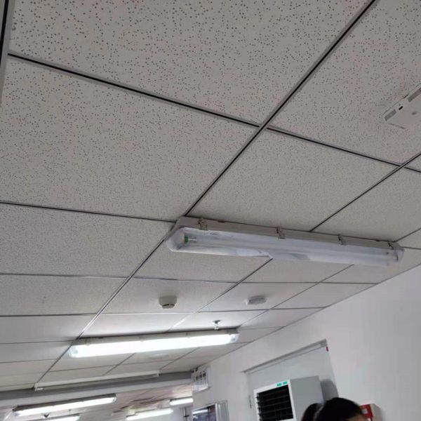 House Ip65 4ft Led Batten Lights Tri Proof T8 Tube For Garage Or Warehouse