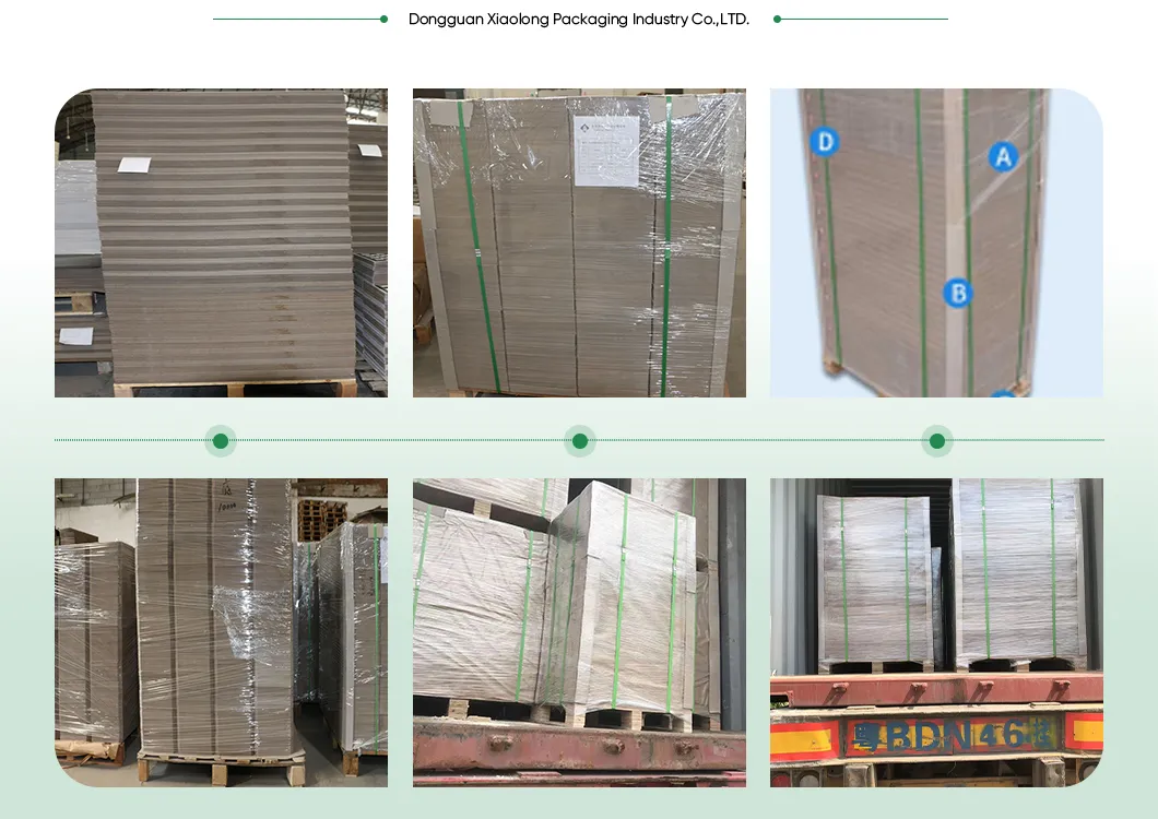Sbs Chenming Fbb Board Paper GSM 230/Fbb/Gc2 C1s Ivory Board