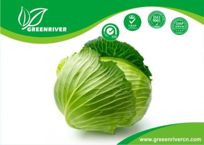 Green organnic Cabbage seeds in Black / Red , OC Certification
