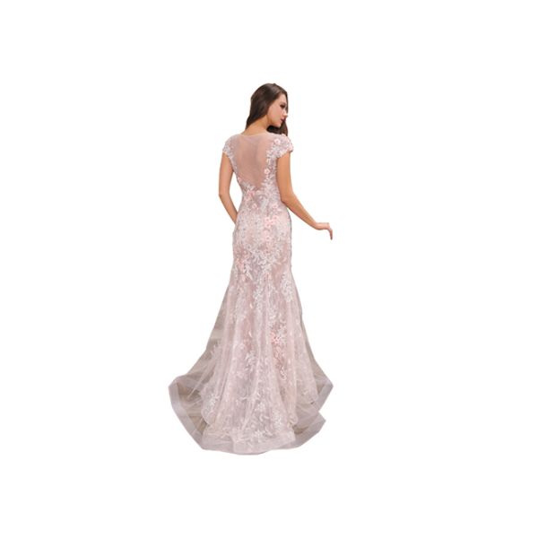 Pink Appliqued Middle Eastern Evening Gowns , Short Sleeve Middle East Women'S Dress