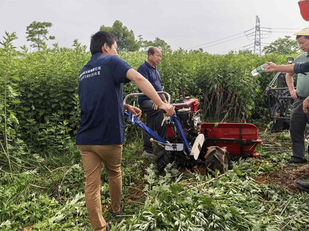 Hubei Yishiyuan Chinese Mugwort Biotechnology Company Limited