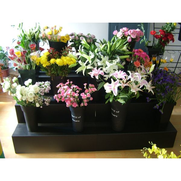 Lightweight & Durable PP Display Stand Made from Corrugated Polypropylene Board, Strong Structure, Easy Assembly, Ideal for Retail Promotion and Product Presentation
