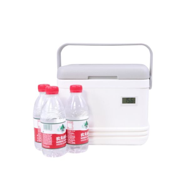 Camping Cooler Box with Beer Utilizing Polyurethane Foam Insulation Providing Long Lasting Cold Retention Outdoors
