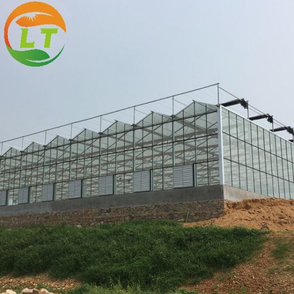 Ventilation Vents for 150/200micro PE Film Covered Greenhouse on Poultry Farm