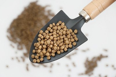 Небольшое животное питание креветки сома любимца делая машину различный форм