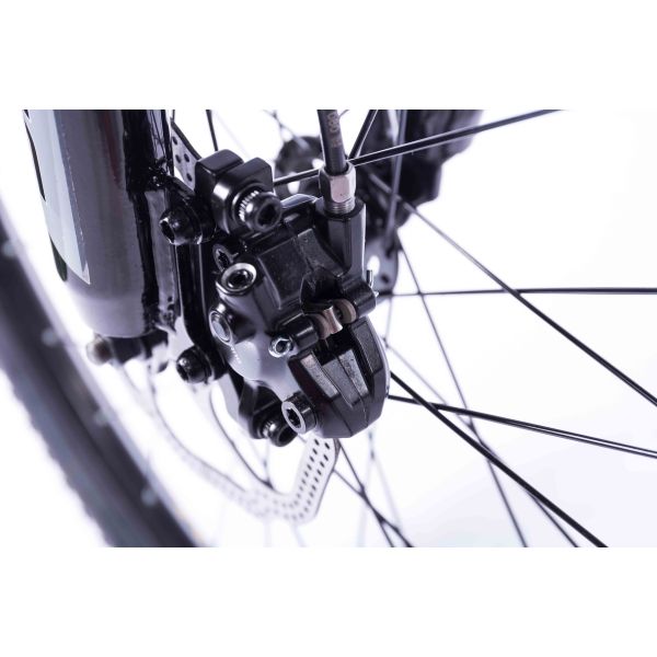 LCD Display Portable Electric Bike , 21 Speed 26 Inch 350w E Bike Alloy Frame