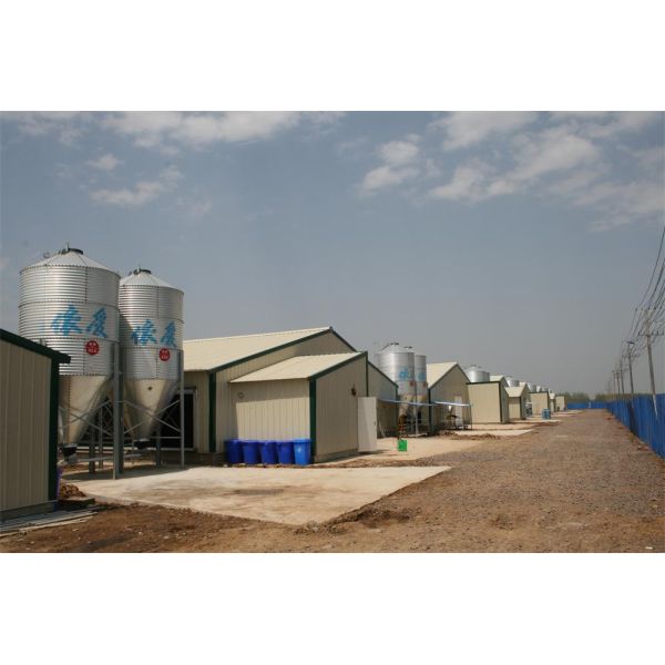 Prefab Steel Structure Chicken House for Poultry Farm Chicken Shed Metal Farm Shed Building