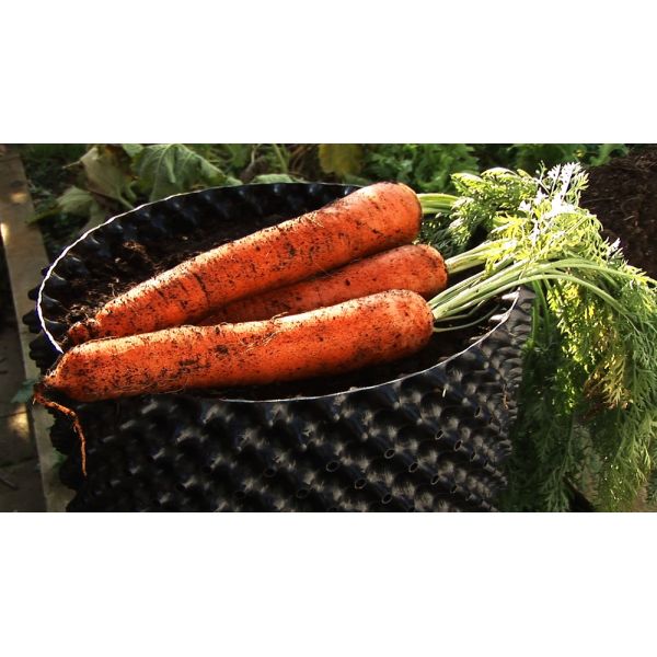 корня воздуха баков воздуха Dia 14L контейнеры гибкого 30cm пластикового прочного подрезая