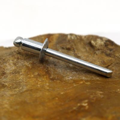 Customized Stainless Steel Pull Rivet Cold Forging DIN ISO GB