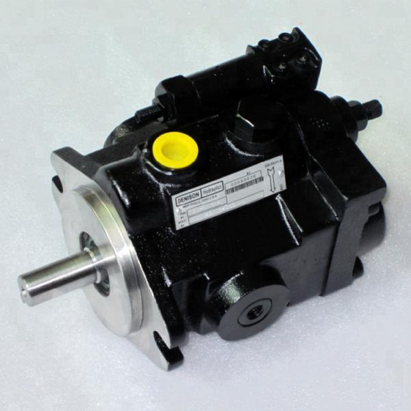 Parker Denison Axial Piston Pump , High Pressure Hydraulic Pump PV29-1R1D-C02