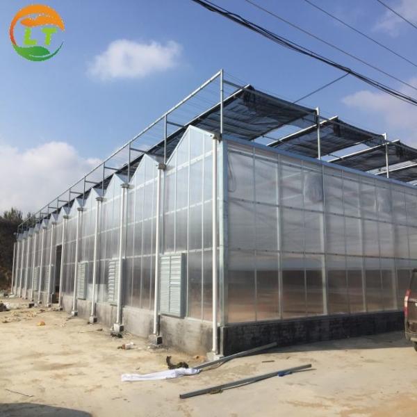 Steel Frame Solar Agricultural Greenhouses for Adjustable Vegetable and Fruit Farming