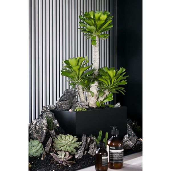 Anti Aging Artificial Succulent Plant Home Interior Landscape Set Pieces Potted