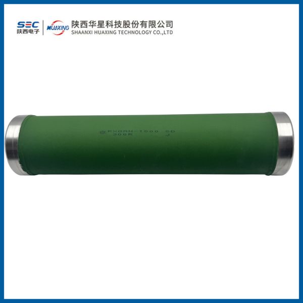 RXQAN Varnished Wirewound Resistor