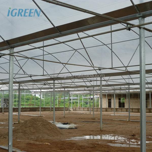 Vegetable Garden Large Greenhouse Kit 30X100 Metal Frame Large Greenhouse Kit