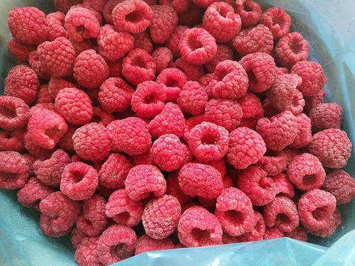 High Standard IQF Frozen Whole Raspberry