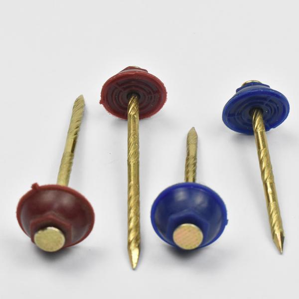 2 - 1/4'' Galvanized Common Nails Umbrella Head Iron Material Roofing Nail