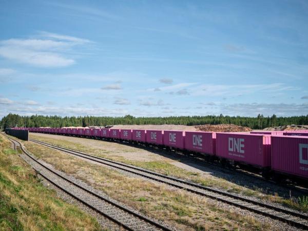 Entreposage local Produits ferroviaires économiques Services de transport maritime Fret par train