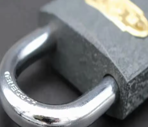 Устойчивый к погодным условиям замк железный 20 мм 25 мм 30 мм ODM