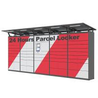 Le service fonctionnant d'individu du casier 7/24 de la livraison de colis de Smart de collecte de haute sécurité chutent