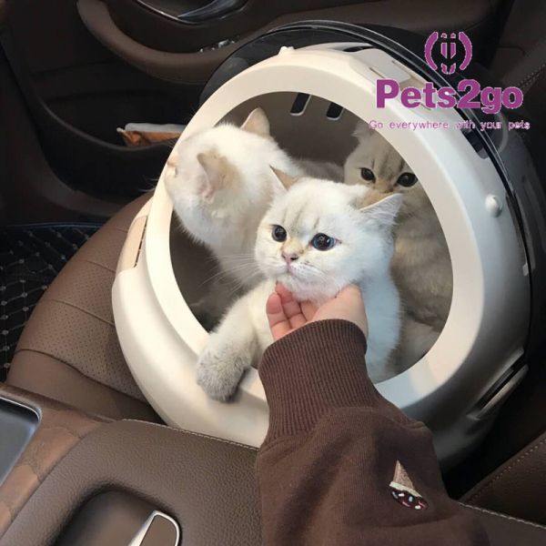 Jaula aprobada línea aérea del portador del animal doméstico del PVC 1.70KG los 36X40CM