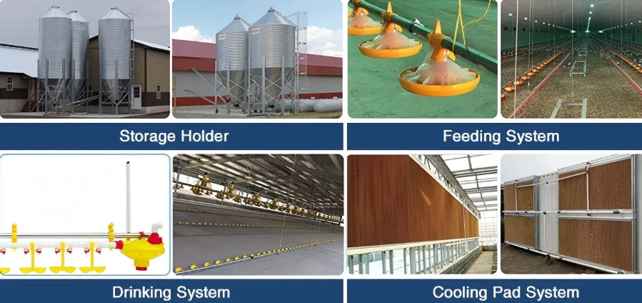 Galvanized Steel Poultry House with Modular/Panelized Design and 30 Years Warranty for Layer Cage Chicken Farming