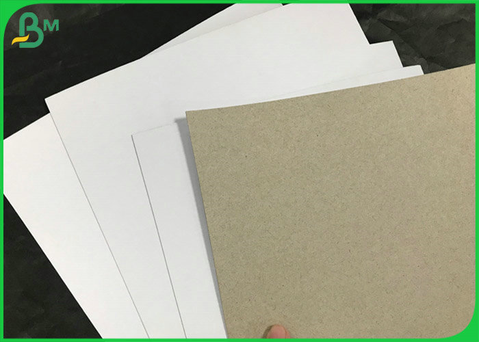 Слон доска дуплекса задней части Rolls 220GSM 240GSM белая покрытая серая покрывает для коробки носка