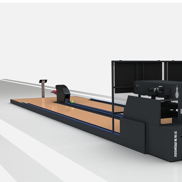 Máquina de bowling de patinho direto de 4 * 12'durável para equipamentos de entretenimento Great Standard