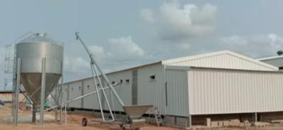 Wind Proof H Profiles Steel Structure Industrial Warehouse Workshop Fabrication