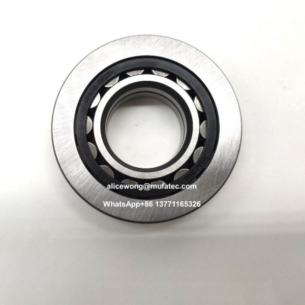 F-604757.04.NU-BNS-HLC Nylon Cage Cylindrical Roller Bearings 28x31x72mm