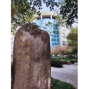 jiaxing hifine international enterprise co ltd