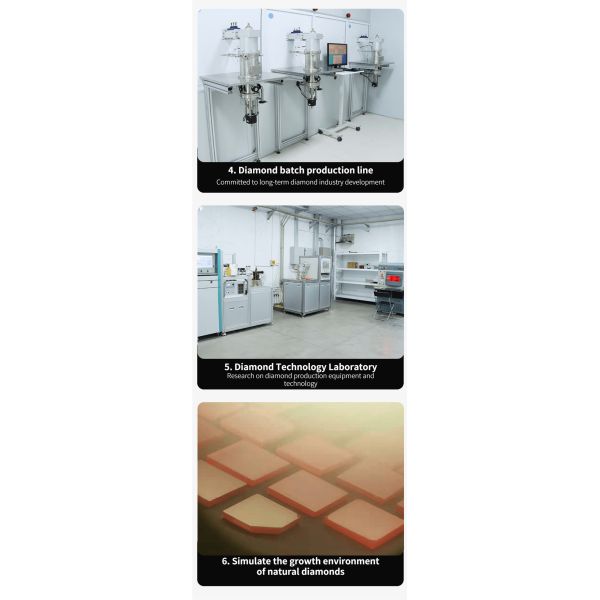 лаборатори-выросли диаманта CVD оборудования роста диаманта оборудования машины MPCVD диаманта изготовитель машины профессионального растя