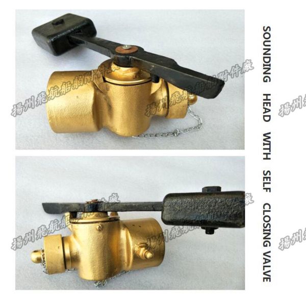 Sounding self closing valve, self closing measuring head, DN40, CB/T3778-1999