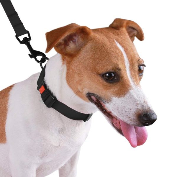 Регулируемый красочный водоустойчивый Веббинг нейлона воротников собаки прочный легкий для того чтобы помыть