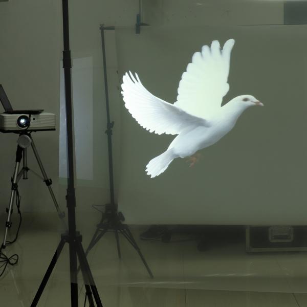 Transmittance élevée arrière transparente du film 92% de projection pour la publicité