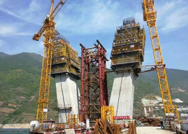 Capacidade de carga alta de escalada da operação simples do molde do auto seguro da estrutura