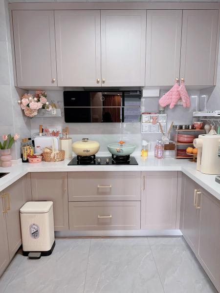 China Factory Kitchen Cabinets with Quartz Granite Countertops
