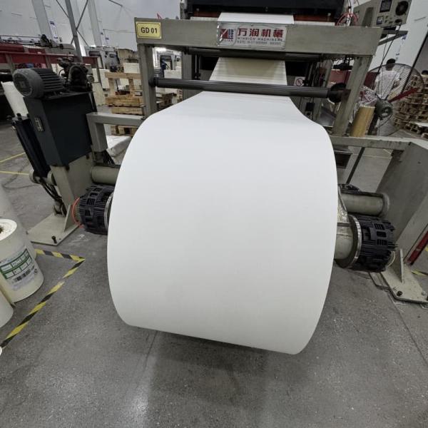 PE laminated Paper Roll for food and beverage packaging
