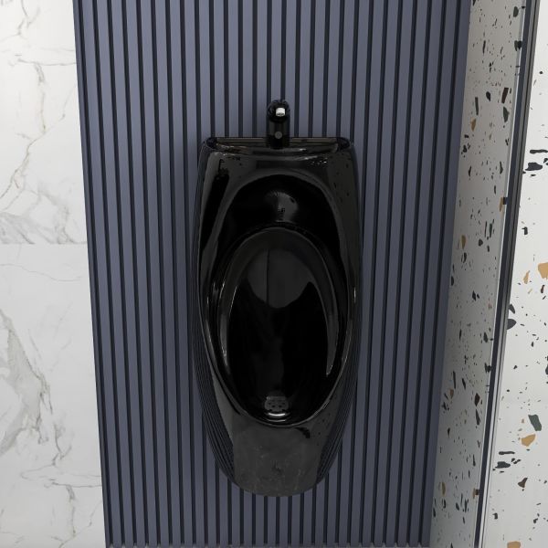 Удобная гигиеническая стена повиснула писсуар 740*310*350mm построенная в фильтре