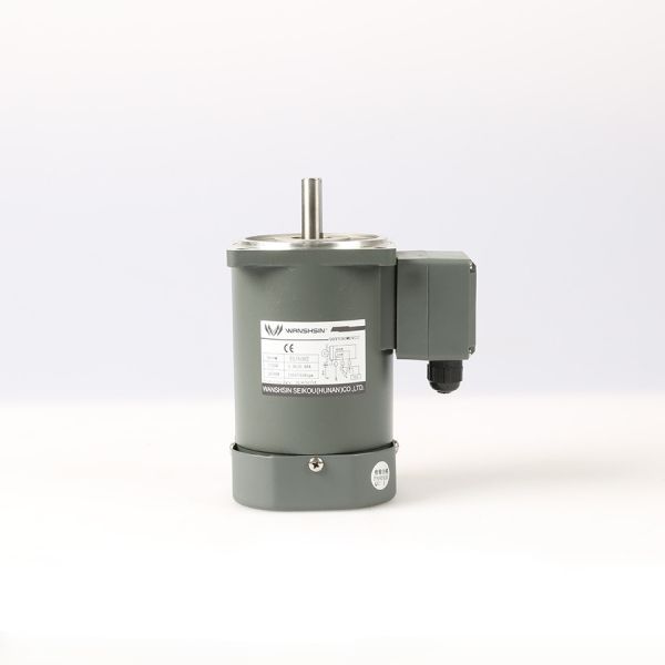 50 60Hz Single Phase Asynchronous Motor 22Nm