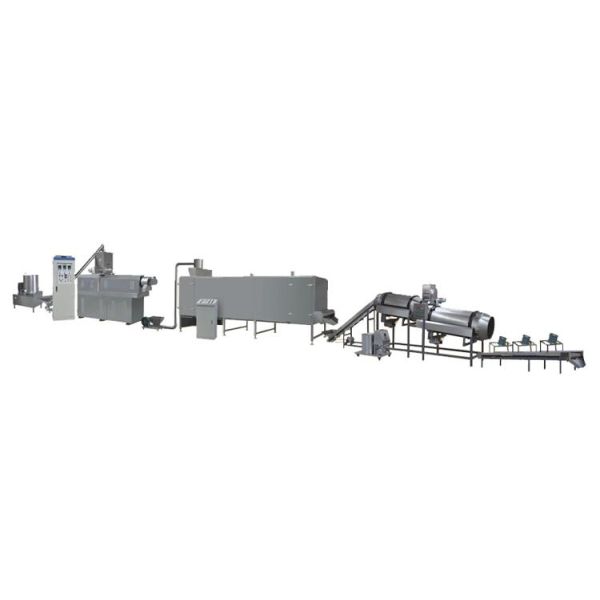 Slanty Bar Twin Screw Extrusion Snacks Food Machinery Fully - Automatic