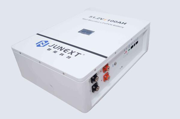LiFePo4 Wall Mounted Battery EMS 2.5kw 48V 51.2V 100ah Solar Battery For Home