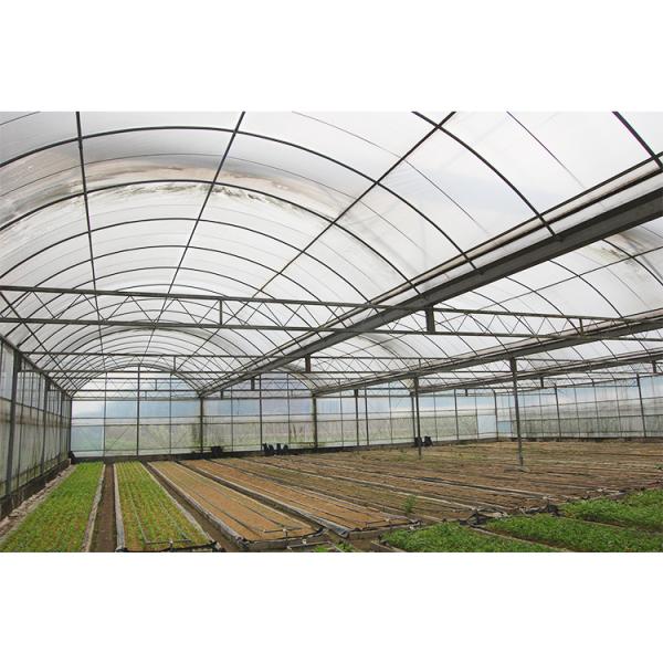 Largeur du tunnel de 12 à 15 mètres IGREEN Grande serre en plastique multifonction pour l'élevage des plantes