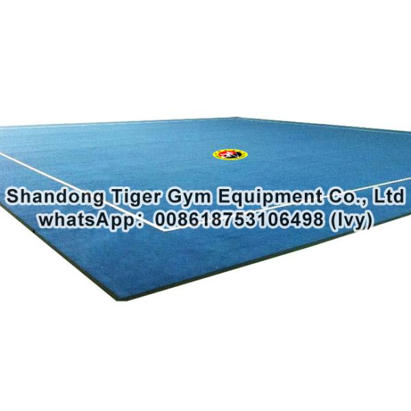 IWUF Approved Wushu Equipment Competition Wushu Carpet / Wushu Field