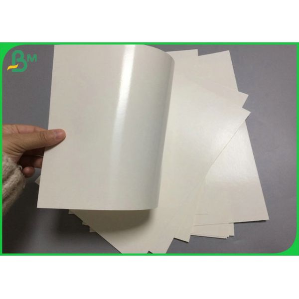 Food Grade Material 240 + 15PE Coated Cupstock Paper Board For Paper Cup Production Food Grade Material 240 + 15PE Coated Cupstock Paper Board For Paper Cup Production