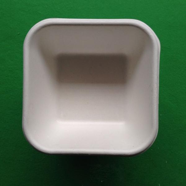 biodegradable eco-friendly dinnerware sugarcane square shaped food tray